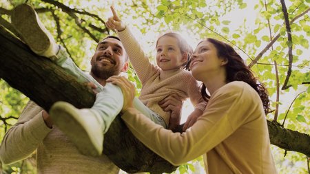 ΣΤΕΓΑΣΤΙΚΟ ΕΛΛΗΝΙΚΗΣ