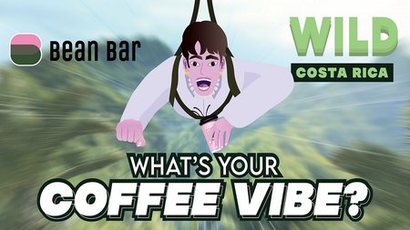BEAN BAR