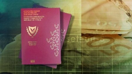 cats_xSnzrJ1.width-750.width-750