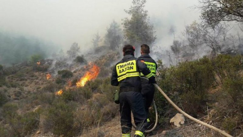 135f0a34-eb8f-4d24-8fd3-d86de1433816_tm