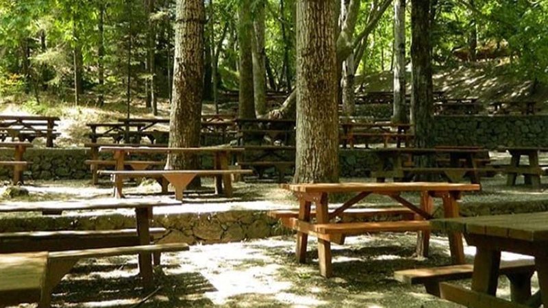 platania-camping-site_0