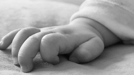 c86709ea-8c66-400e-9913-1607885ec640_brefos