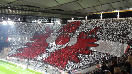 77ce2847-bd38-43cf-855e-db9acd99cf27.jpg