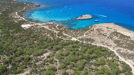 cats_j1xwucb.width-750