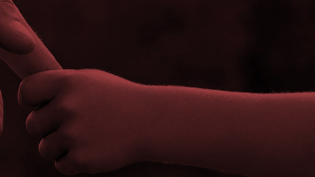 2c8a0ebb-ae38-473a-b149-4ba7c474ae6b.jpg