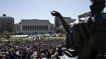 f7558df8-university