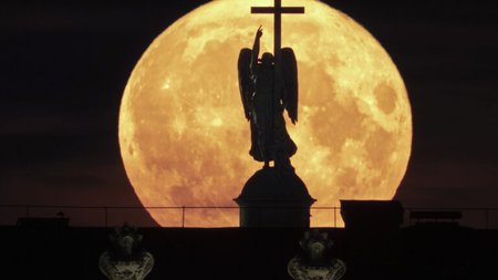 AP23213828332446-768x512