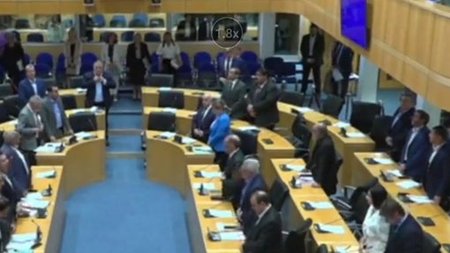 cats_O3ZQ03M.width-750