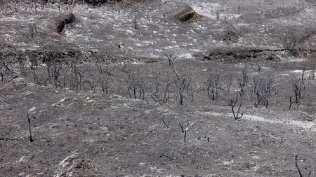 DOC.20250728.8820662.01A09