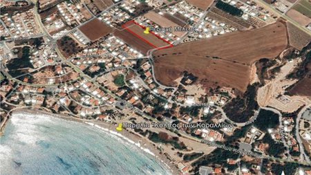corallia