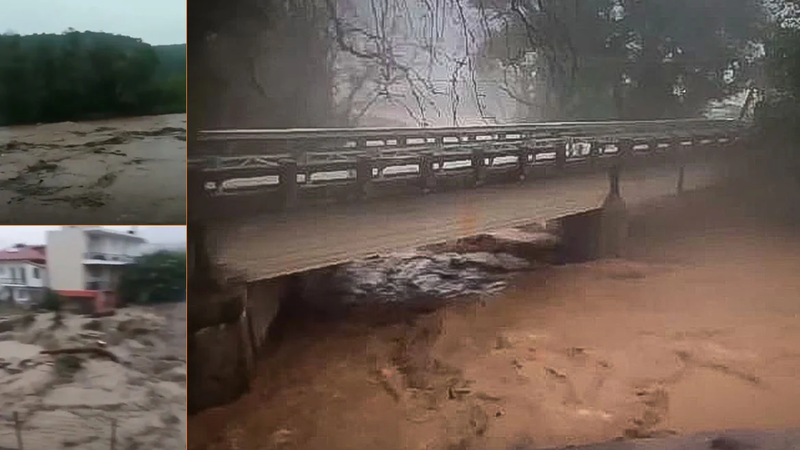 plimmires_evoia_arthro_1