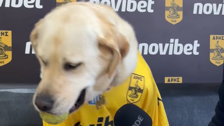aris_dogf_11