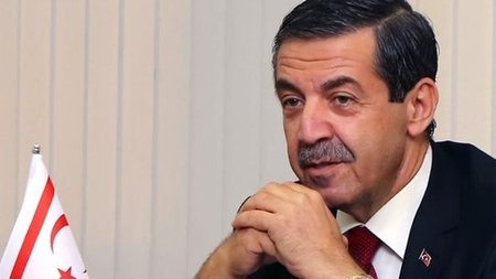 cats_eRSLX7W.width-750