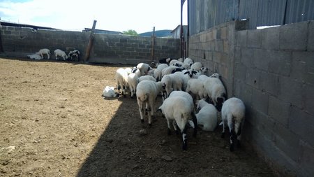 166399932_311927620368945_3343247385792848344_n