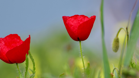 a82a00fc-8984-47df-adc8-b9a3bf4410c7.jpg