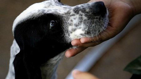 4a64f581-2701-4106-b5e8-c4481ee42c0e