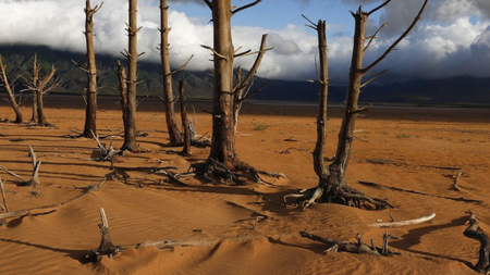 947cb240-d4bd-4577-bed9-0844a6c1dc52.jpg