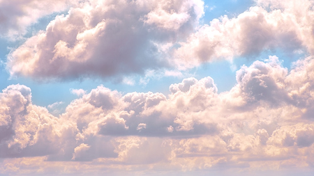 c26fff09-ab25-40d6-b23c-3780e0eb3e11.jpg