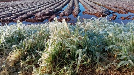 481360198_9207866235958684_7134863384138310961.width-800