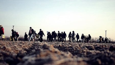 cache_1500x3000_Analog_medium_1205229_51465_16.width-750