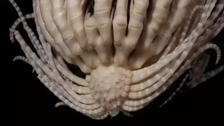 screenshot_2023-08-15_200051