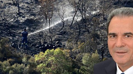 Untitled design (15)