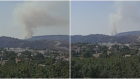 58dc917a-d54b-4894-9f18-c2a7041fe10c.jpg