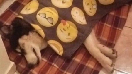 haskey_arthro-1-696x391