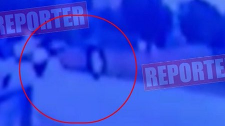 436877961_779308910829698_340667698342097127_n