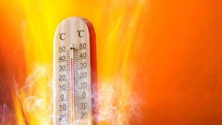 65026b406690385e35e08d9645563ed2_XL