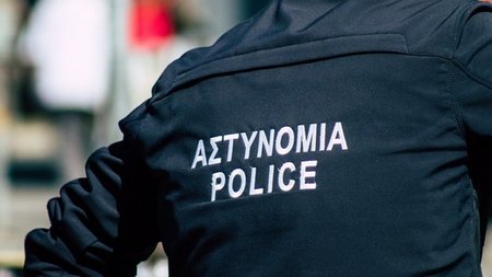 cats_mT5e9c5.width-750