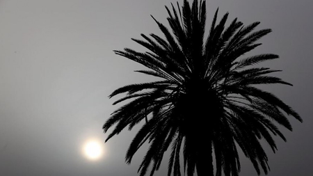 2861f718-1a62-428e-bf72-e0775c7bdbc0.jpg