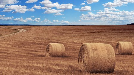 agriculture_farming