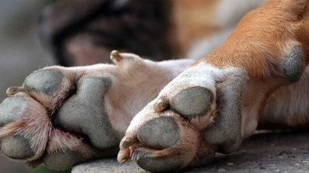 04461ed3dc77495a9e03d8b16ff63883