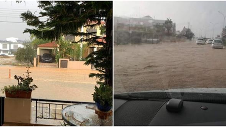 f33f3481-e891-4c41-b2d4-b9fc4c11ef8e.jpg