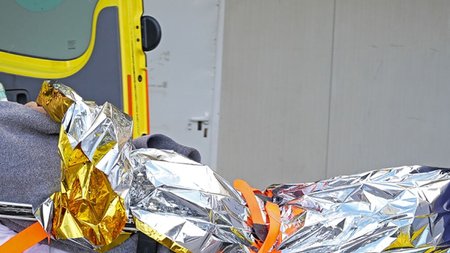 aigyptios_lesvos_arthro