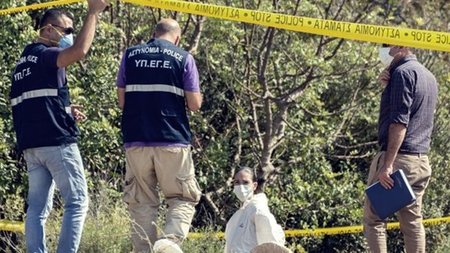 cats_7vCqpfz.width-750