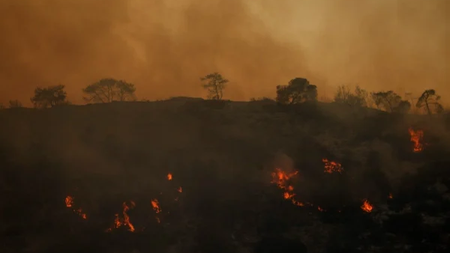 4f5fec03934e57ff413c4fbc318f05d8_M