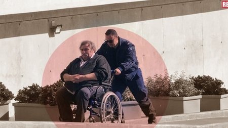 cats_3nOUt3k.width-750