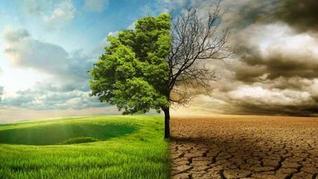 ΠΕΡΙΒΑΛΛΟΝ