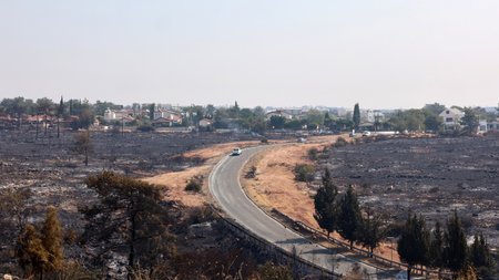 DOC.20250724.8800340.01FOTIA03