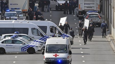 fe5dba5efd8fda29368fb9bdabbc7781_L