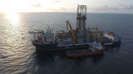 cats_M3VEjHB.width-750.width-750