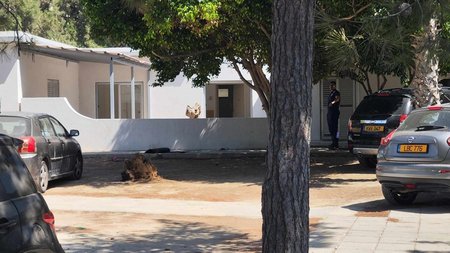 459392692_376920062131765_7326832874475764430_n