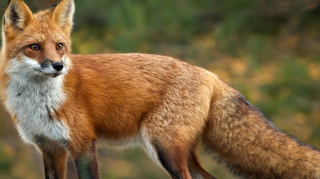 077661c2-4c2b-4097-a738-7f1b362afb41.width-750