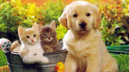 6ce235e5-5348-4177-b147-845a678958af.width-750