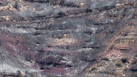 DOC.20250725.8804559.01OMODOS03