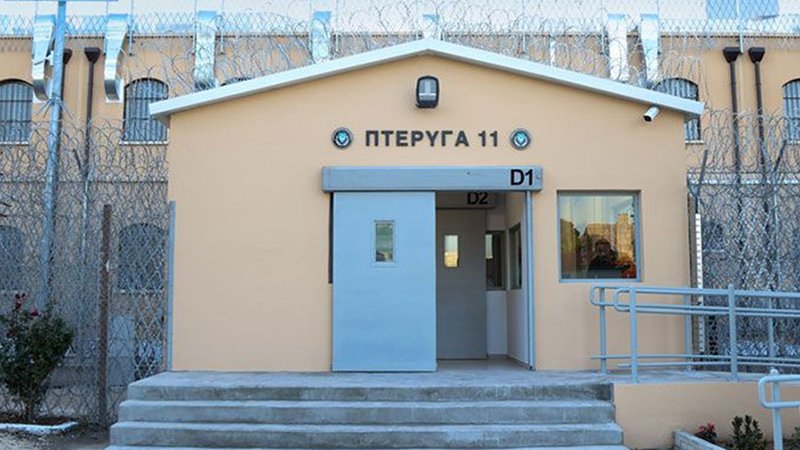 pteriga-arthrou
