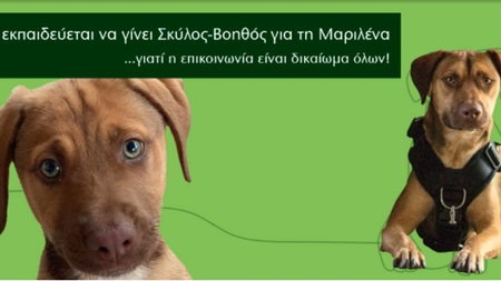 7869a251-2d5f-42b3-923e-cd9fc066aaad.jpg