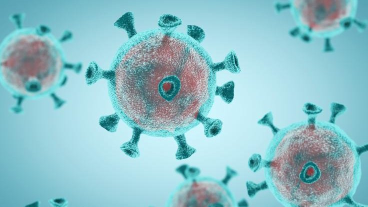 Coronavirus (COVID-19) information